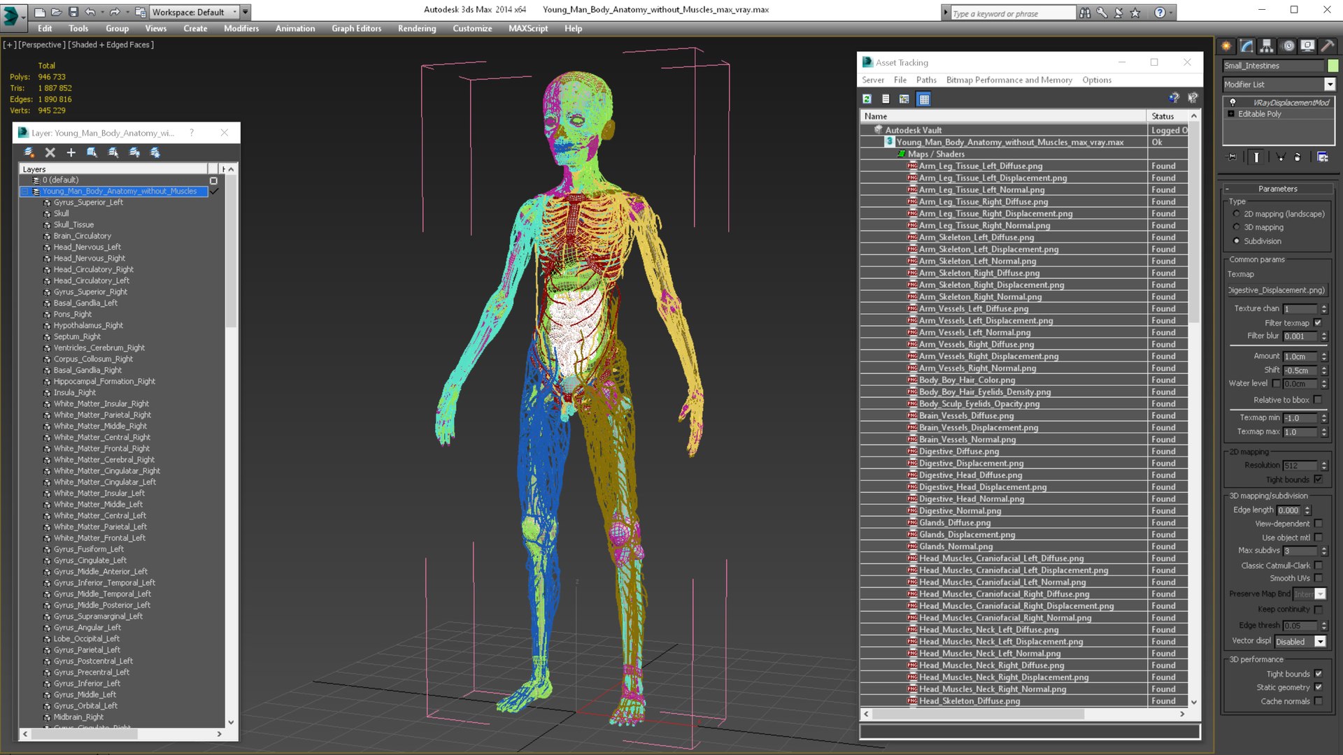 Young Man Body Anatomy without Muscles 3D model https://p.turbosquid.com/ts-thumb/rm/9QBMIj/wq/youngmanbodyanatomywithoutmusclesmb3dmodel087/jpg/1641754888/1920x1080/fit_q87/6494b7bf7e62b6f9dc2d913016685a311caacc25/youngmanbodyanatomywithoutmusclesmb3dmodel087.jpg