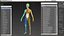 Anatomie du corps du jeune homme sans muscles