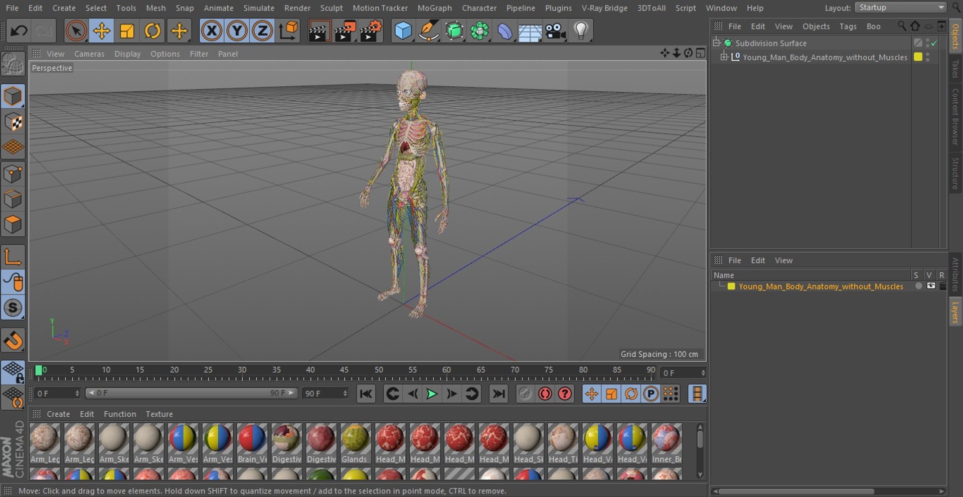 Young Man Body Anatomy without Muscles 3D model https://p.turbosquid.com/ts-thumb/rm/9QBMIj/zk/youngmanbodyanatomywithoutmusclesmb3dmodel090/jpg/1641754897/1920x1080/fit_q87/03578a47abeb9731a9a44d5b1f12b174686989f8/youngmanbodyanatomywithoutmusclesmb3dmodel090.jpg