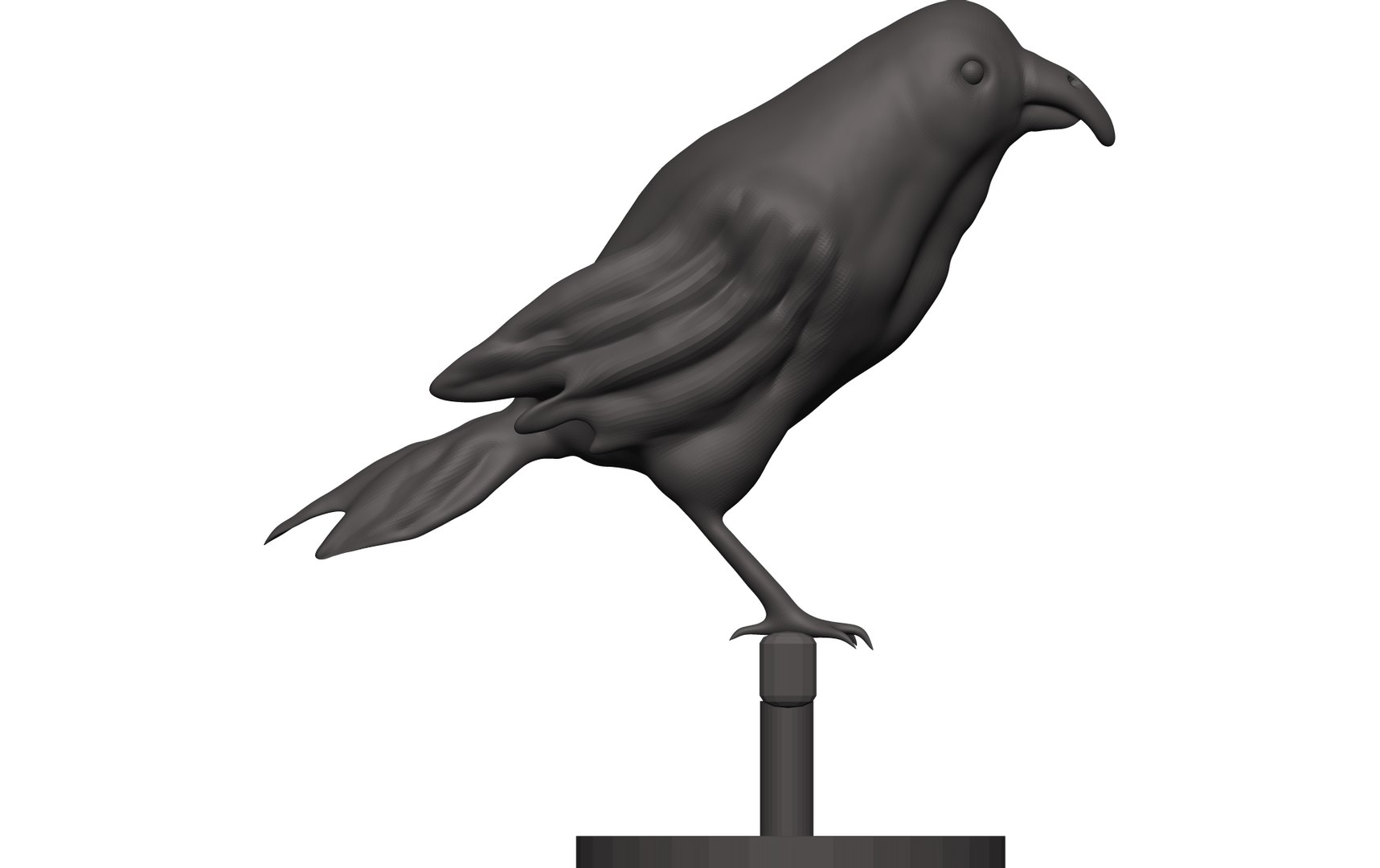 3D Finch Model - TurboSquid 1849020