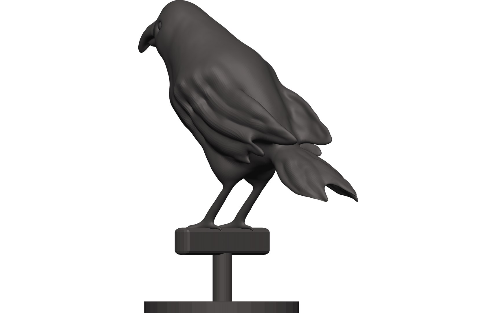 3D Finch Model - TurboSquid 1849020