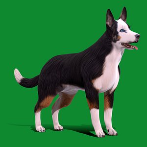 Panda German Shepherd Dog