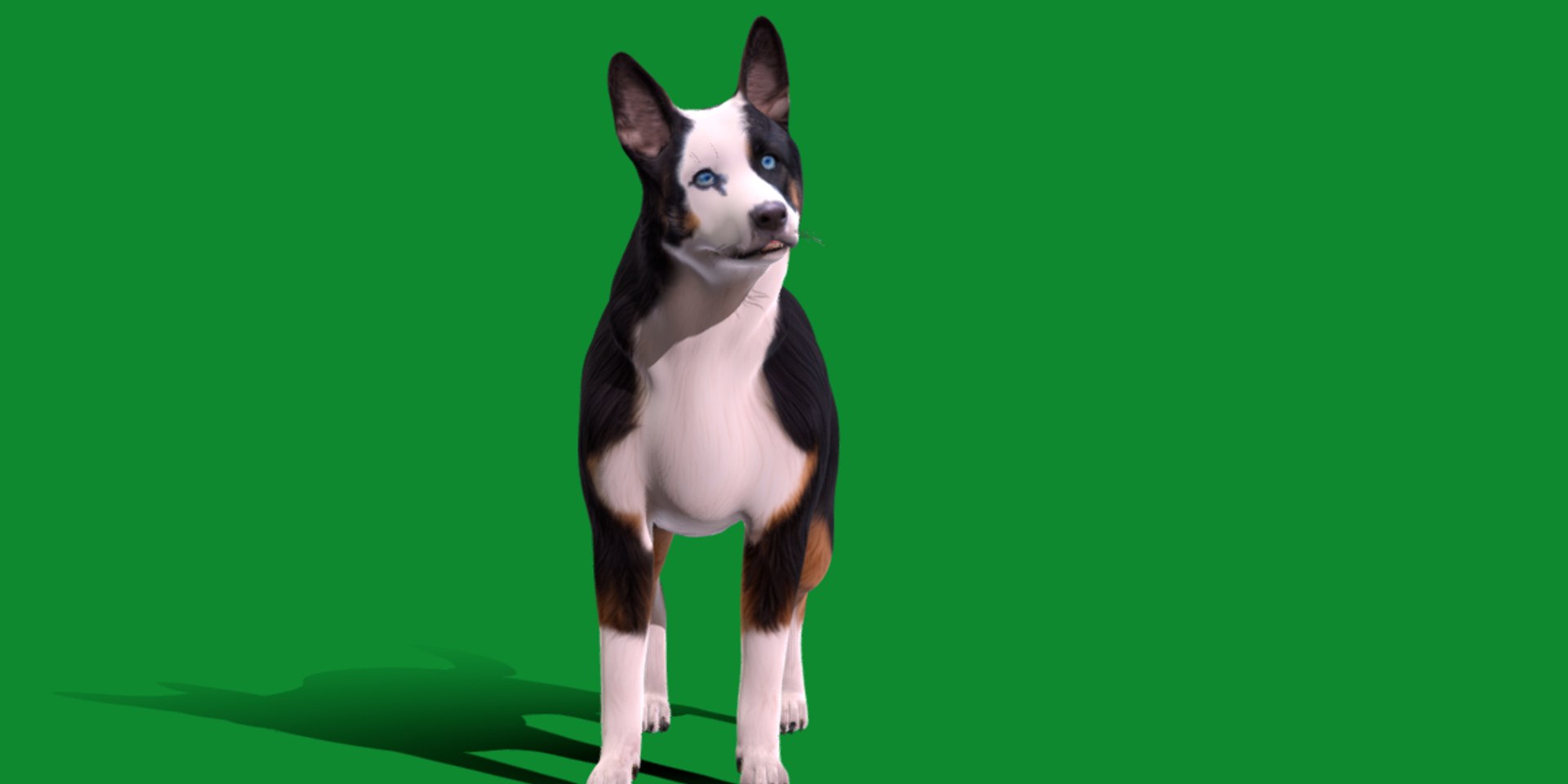 3D Panda German Shepherd Dog model https://p.turbosquid.com/ts-thumb/rm/RaWwtD/nH/screenshot21/png/1728455028/1920x1080/fit_q87/18449f1502e799cb3f616304e0d3f41cbf97f19c/screenshot21.jpg