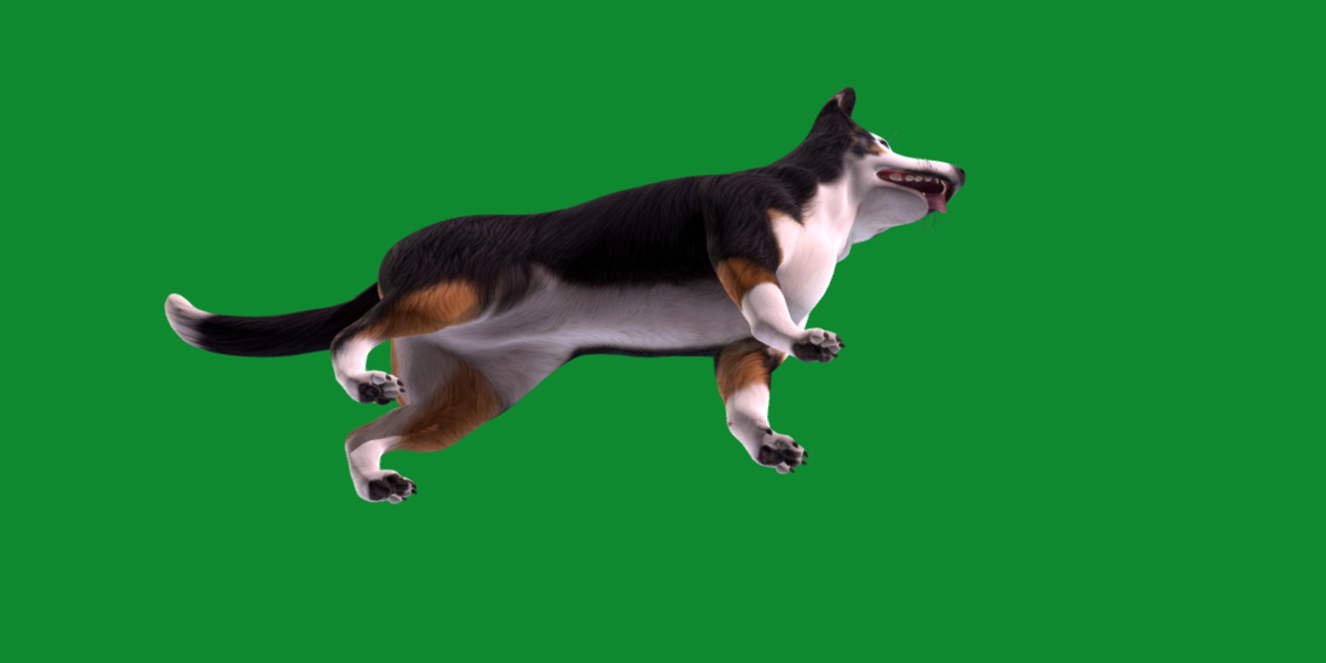 3D Panda German Shepherd Dog model https://p.turbosquid.com/ts-thumb/rm/RaWwtD/o5/screenshot9/png/1728455018/1920x1080/fit_q87/f9ea78ed08c3ac3fb411831f0aa3370f5b078b72/screenshot9.jpg