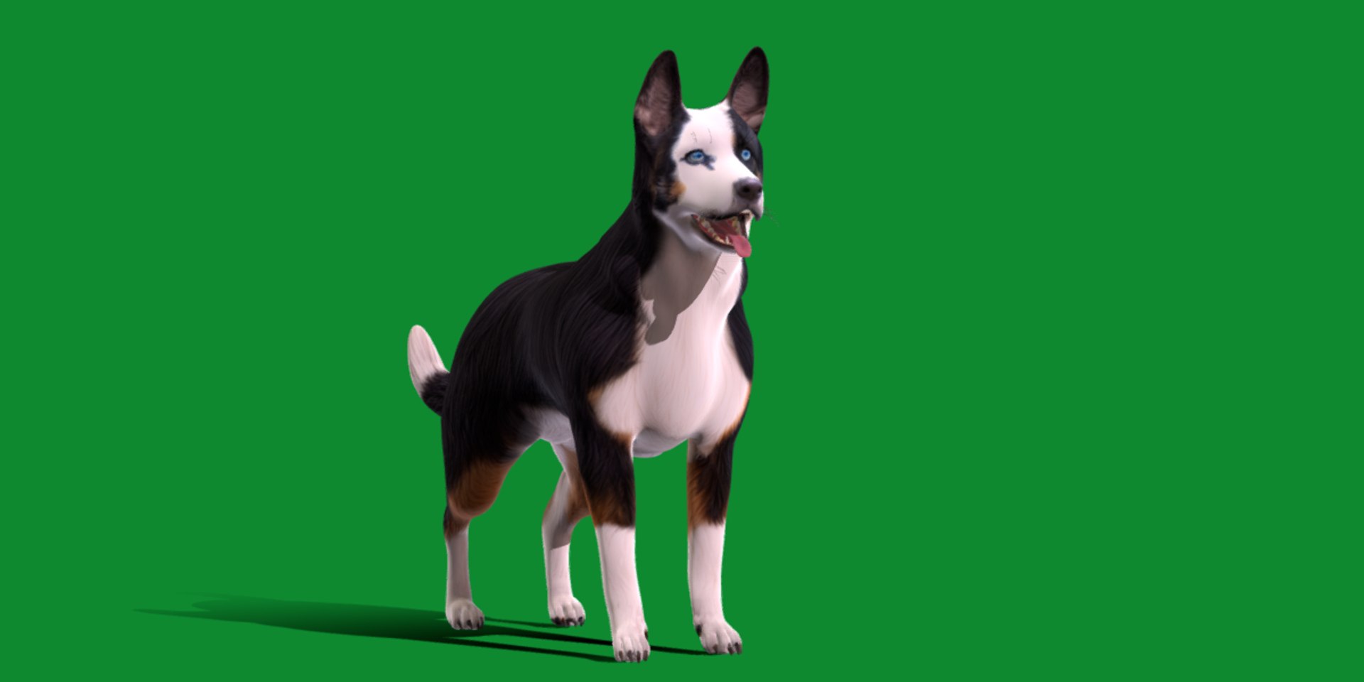 3D Panda German Shepherd Dog model https://p.turbosquid.com/ts-thumb/rm/RaWwtD/vn/screenshot3/png/1728455015/1920x1080/fit_q87/f44dba7bf1f776b6a3477a7f2383b4f6d984ddcd/screenshot3.jpg