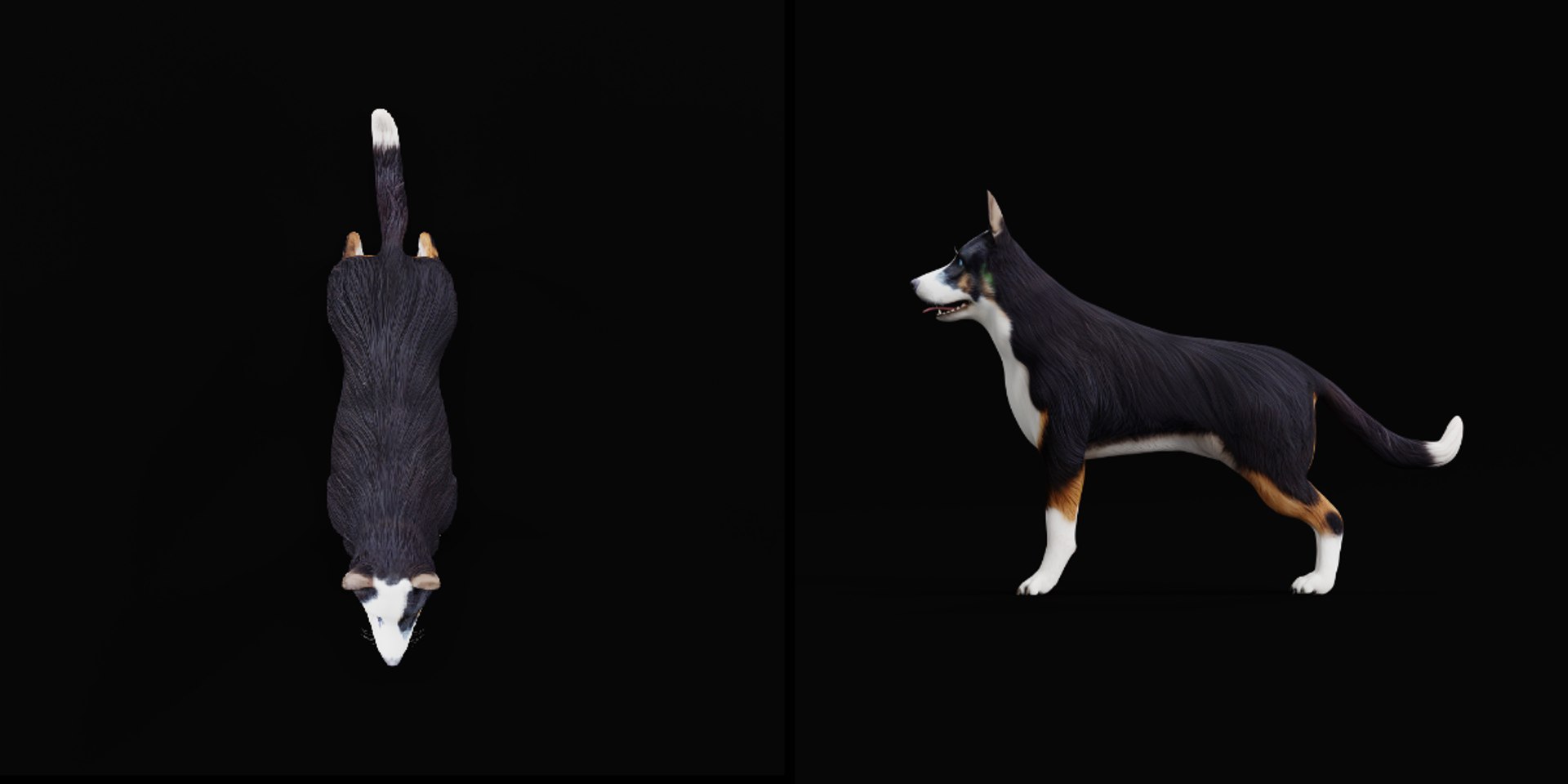 3D Panda German Shepherd Dog model https://p.turbosquid.com/ts-thumb/rm/RaWwtD/w6/panda_german_shepherd1/png/1728455004/1920x1080/fit_q87/3ac4f2b315aeebe847ffcf37059d493408a9d78e/panda_german_shepherd1.jpg