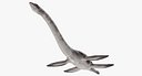 Plesiosauria Marine Reptile Dinosaur