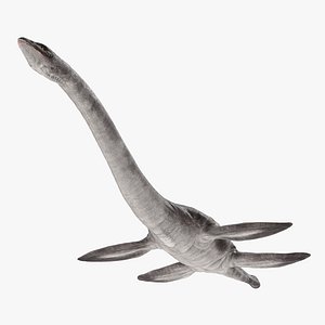 plesiosauria marine reptile dinosaur 3d model