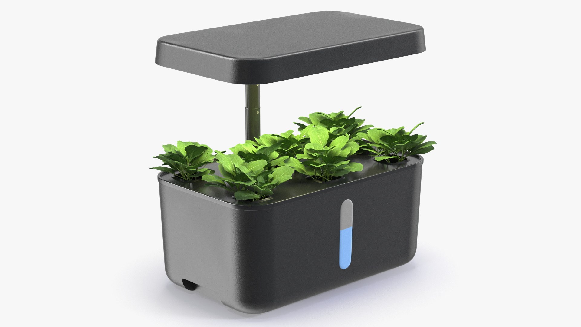 Smart Indoor Hydroponic Garden with Herbs Black 3D model preview