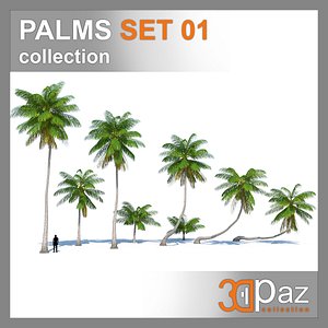 palm palmtree plant 3D model
