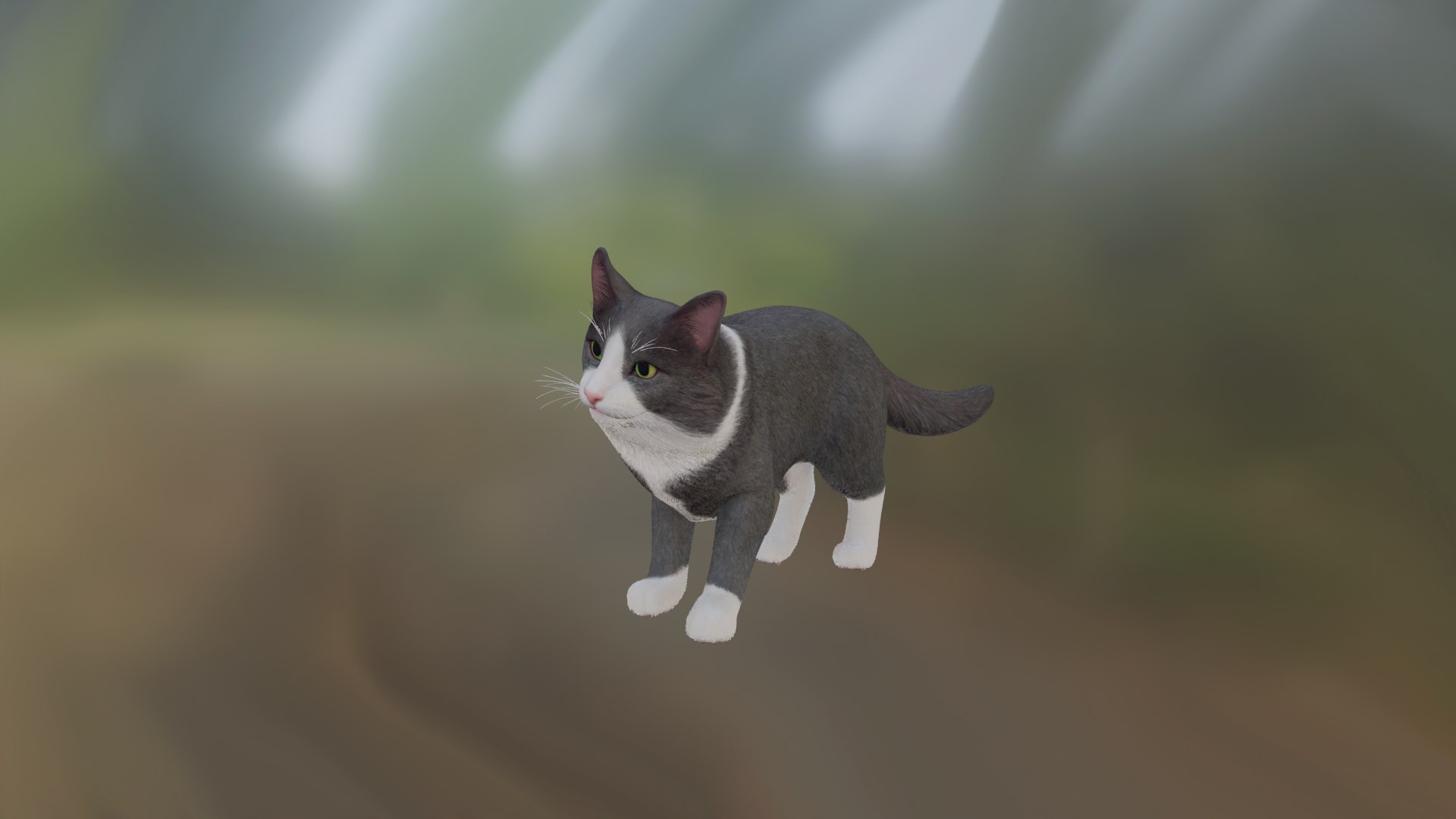 Cat 3D https://p.turbosquid.com/ts-thumb/rm/Yco2jg/2p/20220309_205428/png/1646849400/1920x1080/fit_q87/efd7a0f282af941c41af5808118aa9e14572acd1/20220309_205428.jpg