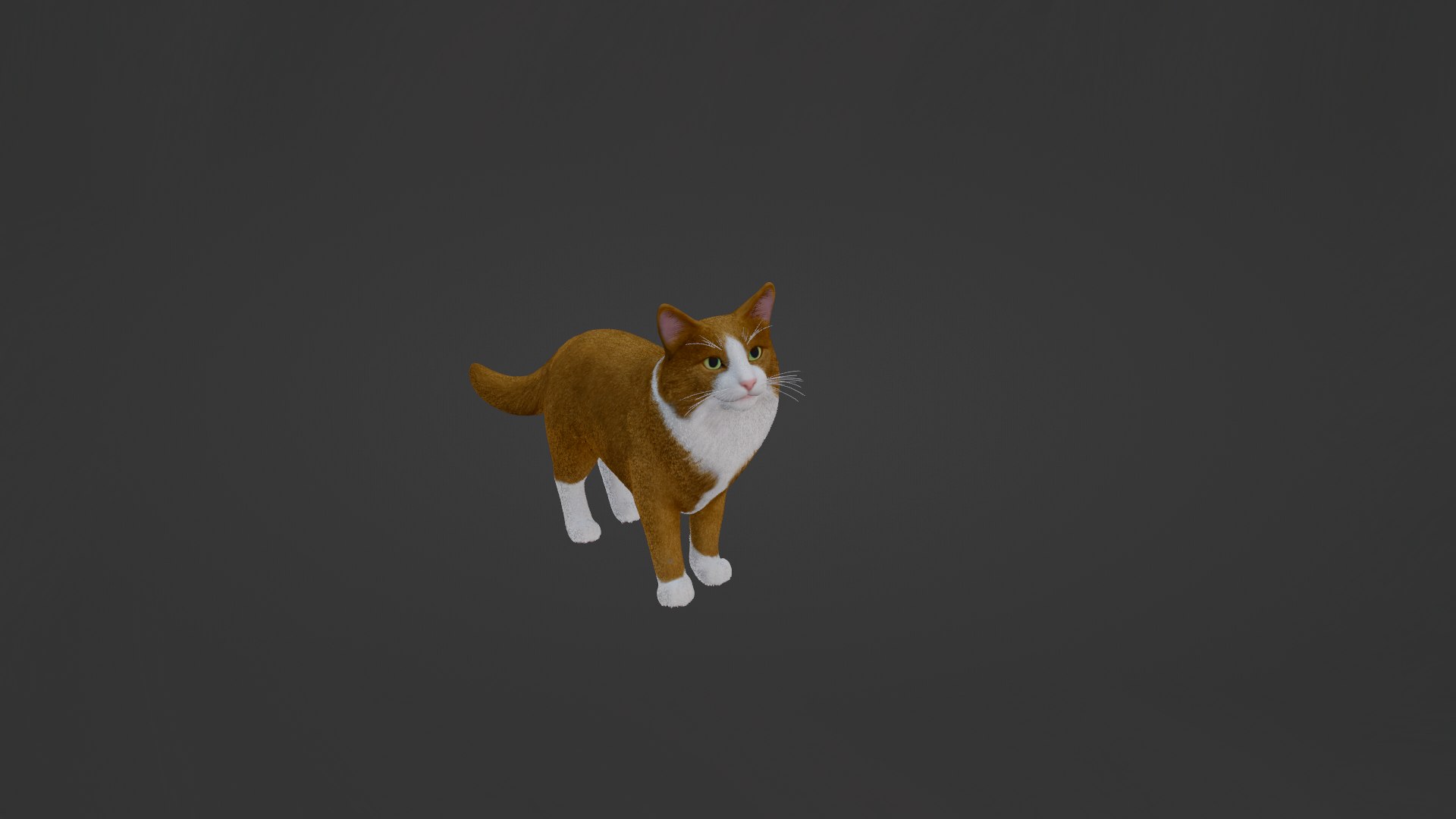 Cat 3D https://p.turbosquid.com/ts-thumb/rm/Yco2jg/79/20220309_205227/png/1646849318/1920x1080/fit_q87/cd628607e3cfe964099c87319aaad2e0f54d38c7/20220309_205227.jpg