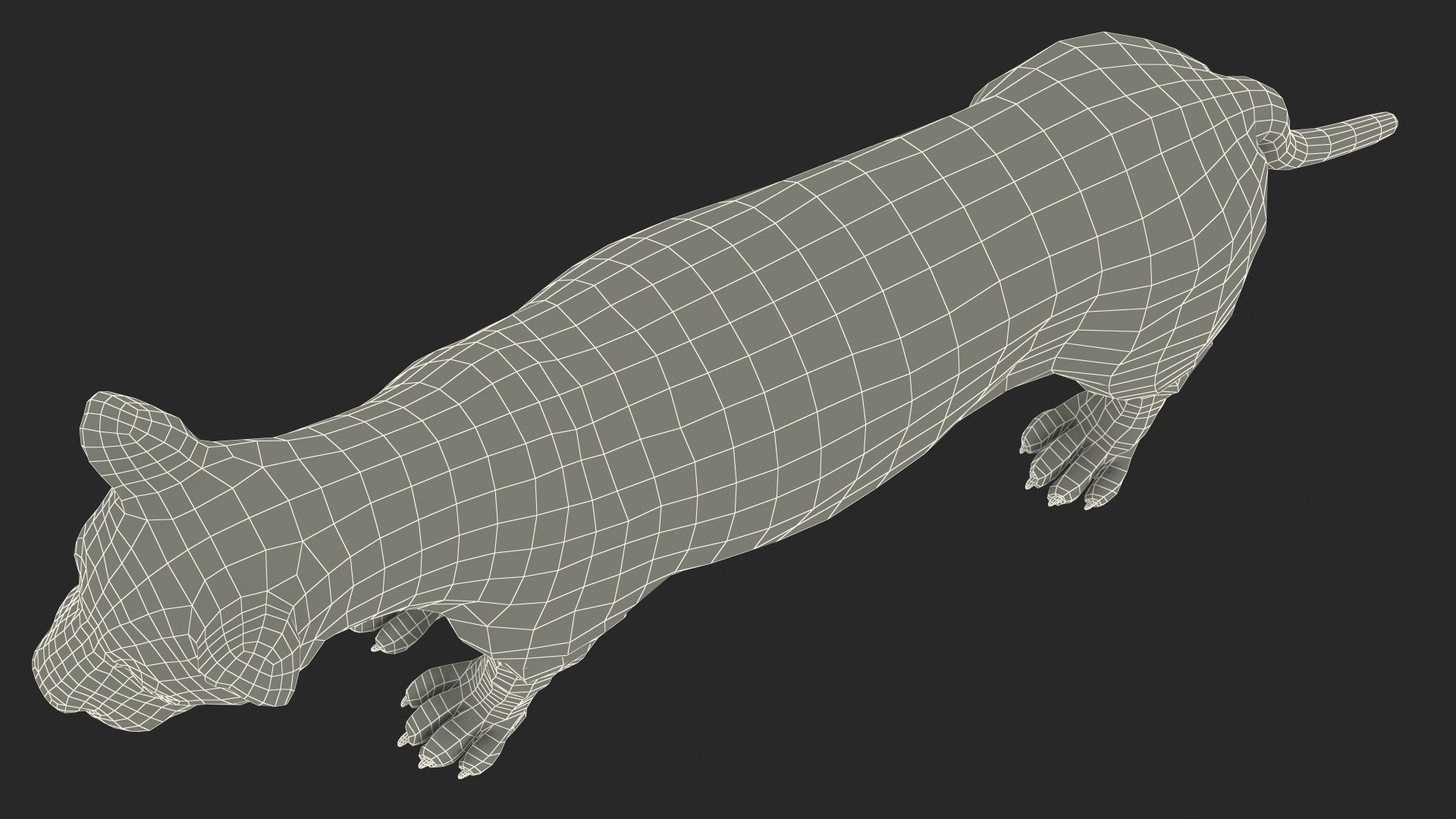 Male Lion Fur Rigged 3D model https://p.turbosquid.com/ts-thumb/rm/aGgjI4/8s/malelionfurriggedvray3dmodel042/jpg/1625040956/1920x1080/fit_q87/2a77b86993a93ef69296a7804b98885cc5b24234/malelionfurriggedvray3dmodel042.jpg