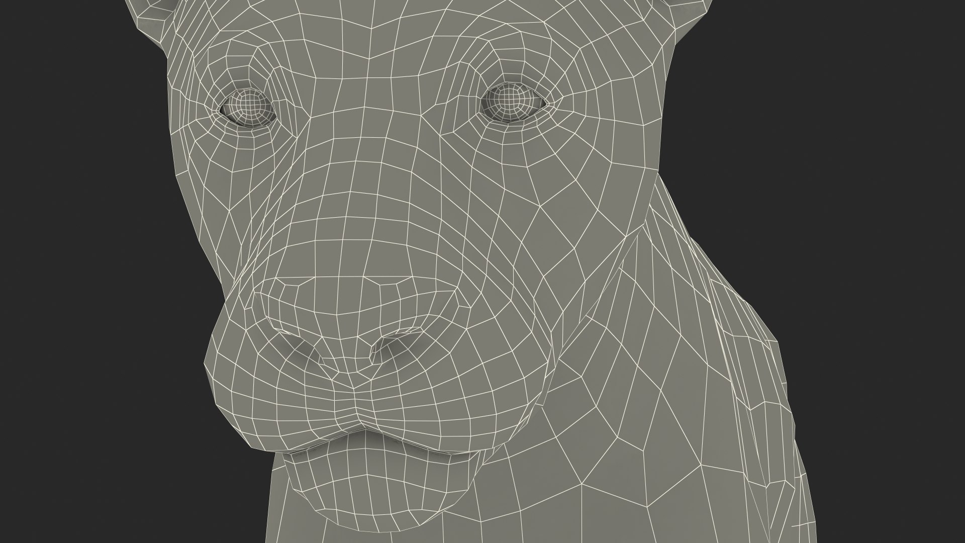 Male Lion Fur Rigged 3D model https://p.turbosquid.com/ts-thumb/rm/aGgjI4/Em/malelionfurriggedvray3dmodel037/jpg/1625040945/1920x1080/fit_q87/5b43f8f76b8083c9b304df45122dcc3b1b304332/malelionfurriggedvray3dmodel037.jpg