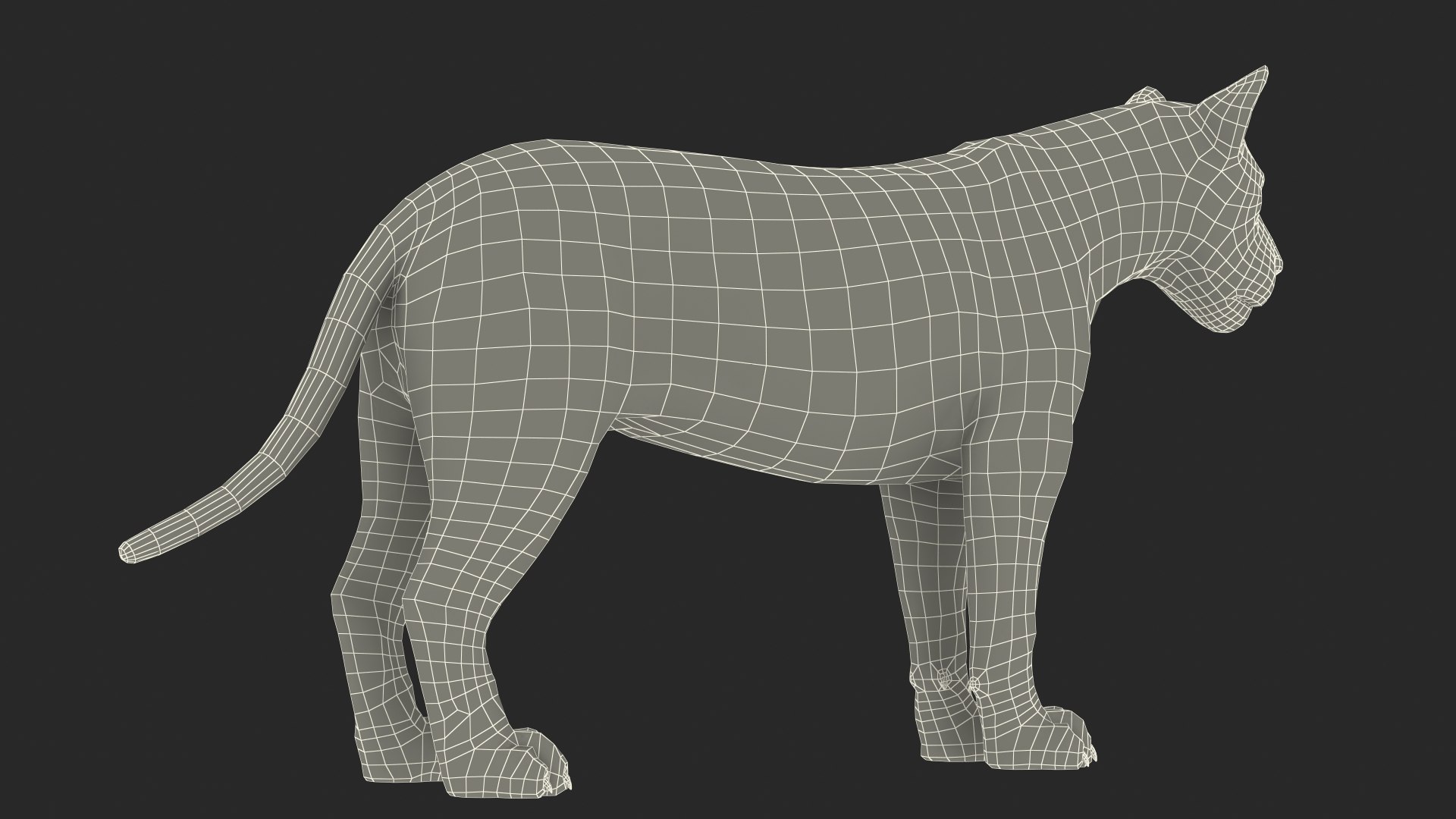 Male Lion Fur Rigged 3D model https://p.turbosquid.com/ts-thumb/rm/aGgjI4/MN/malelionfurriggedvray3dmodel035/jpg/1625040941/1920x1080/fit_q87/c9f345ff88552408ebc306dbdcb3d030cbd1e8ff/malelionfurriggedvray3dmodel035.jpg