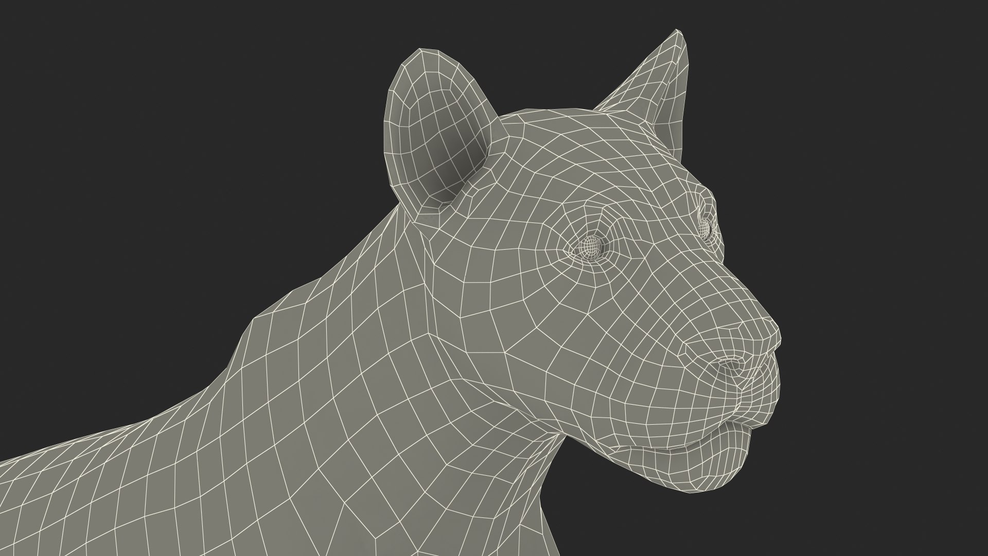 Male Lion Fur Rigged 3D model https://p.turbosquid.com/ts-thumb/rm/aGgjI4/ed/malelionfurriggedvray3dmodel038/jpg/1625040947/1920x1080/fit_q87/0bb073b832aafe389ad1aae63780c225855c3c75/malelionfurriggedvray3dmodel038.jpg
