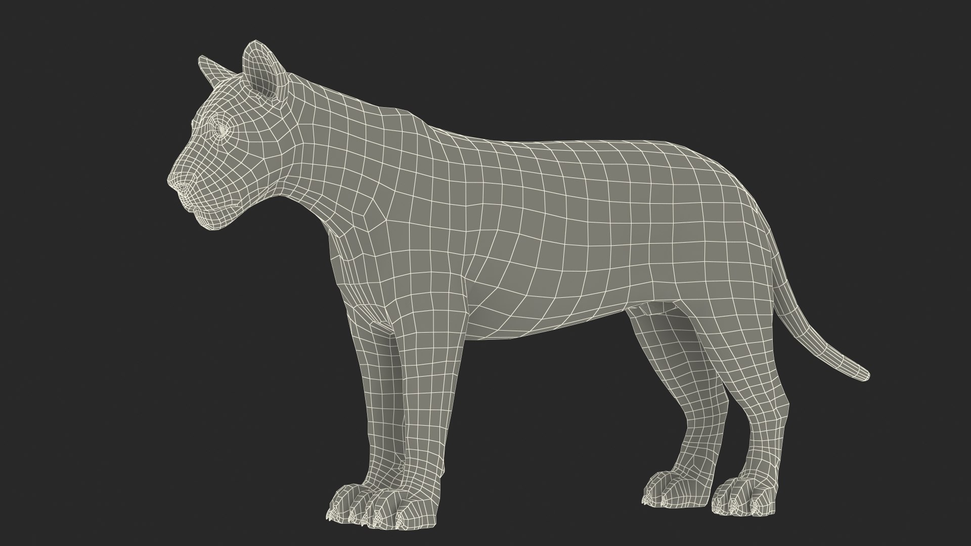 Male Lion Fur Rigged 3D model https://p.turbosquid.com/ts-thumb/rm/aGgjI4/f6/malelionfurriggedvray3dmodel034/jpg/1625040939/1920x1080/fit_q87/6a98d48c0203995b080d2e0391cc6398147828d1/malelionfurriggedvray3dmodel034.jpg