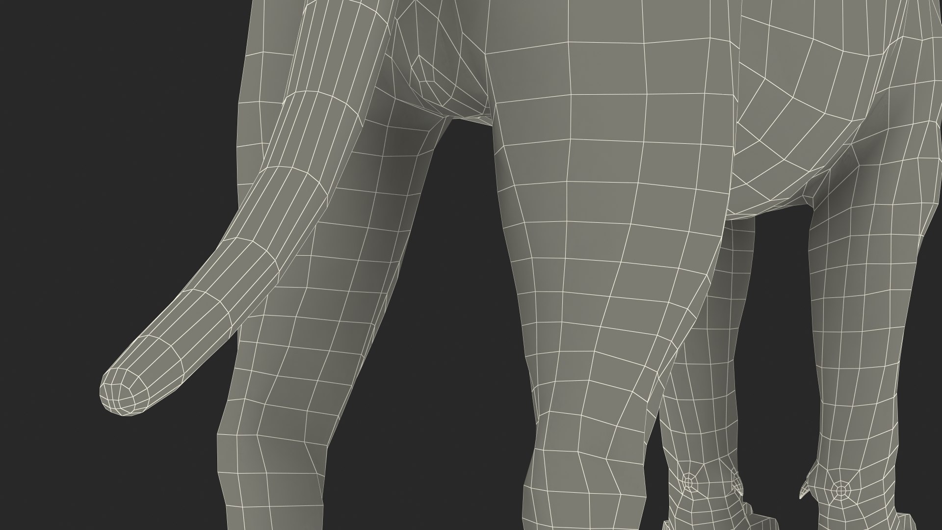 Male Lion Fur Rigged 3D model https://p.turbosquid.com/ts-thumb/rm/aGgjI4/sM/malelionfurriggedvray3dmodel041/jpg/1625040954/1920x1080/fit_q87/5612af13500af6137f70aa924a242e4903e603dd/malelionfurriggedvray3dmodel041.jpg