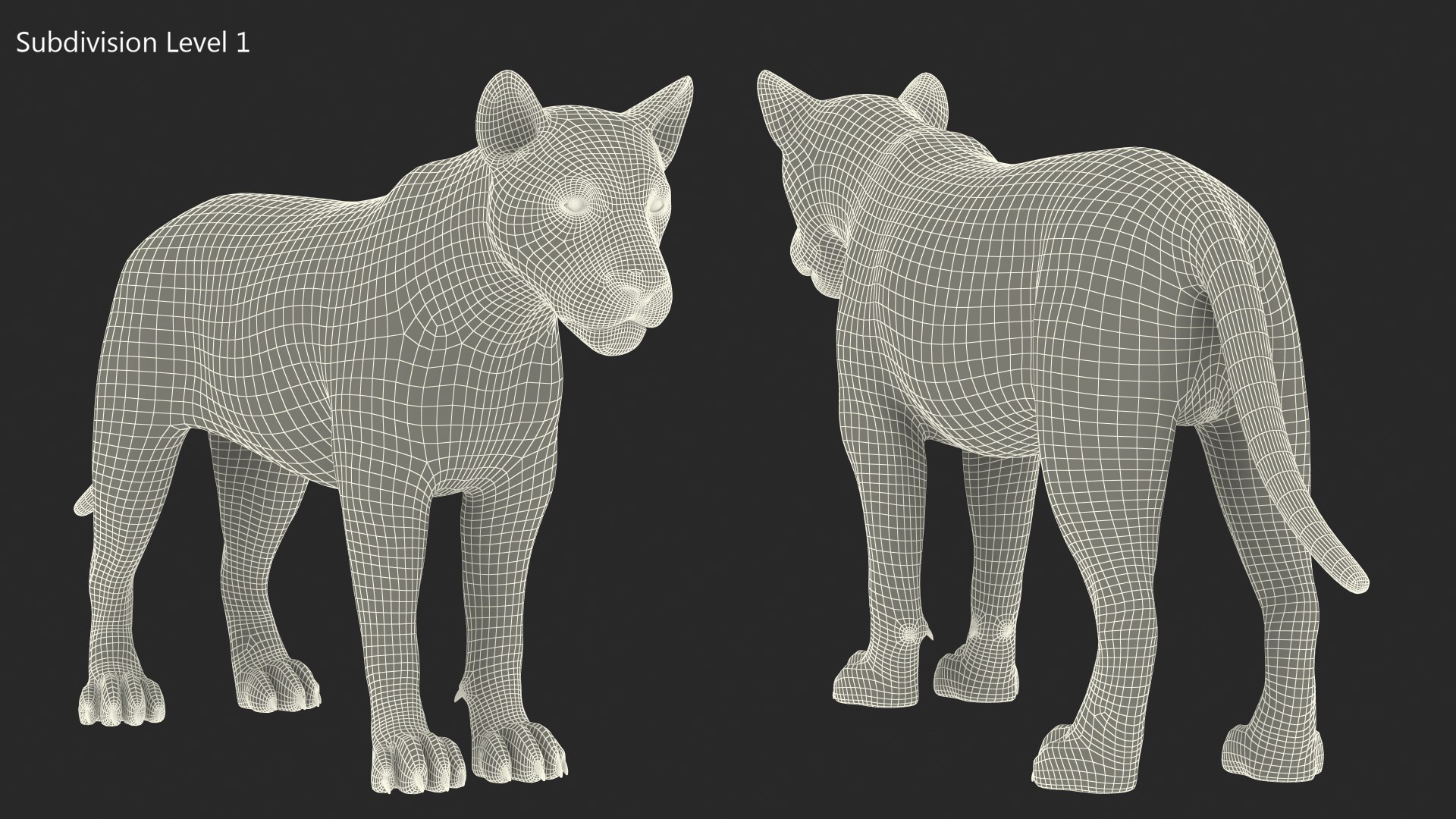 Male Lion Fur Rigged 3D model https://p.turbosquid.com/ts-thumb/rm/aGgjI4/yu/malelionfurriggedvray3dmodel030/jpg/1625040929/1920x1080/fit_q87/296561b8baae051eac27f77c018e207d08aa9166/malelionfurriggedvray3dmodel030.jpg