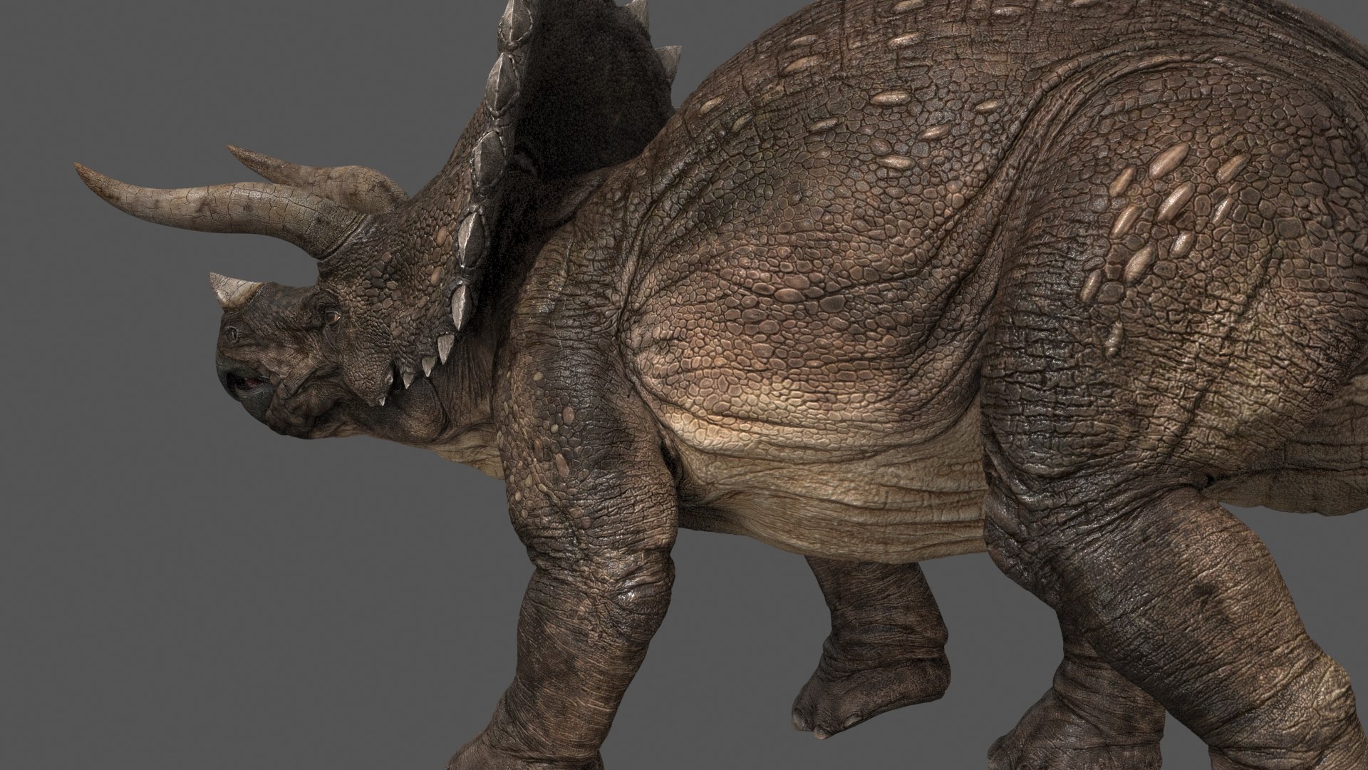 triceratops animations 3D model https://p.turbosquid.com/ts-thumb/rm/fxvhjC/AWbCKbgJ/triceratops_0005/jpg/1524215430/1920x1080/fit_q87/78cc0ed179fc79ac99ff4e2b055c820bcf4610f1/triceratops_0005.jpg