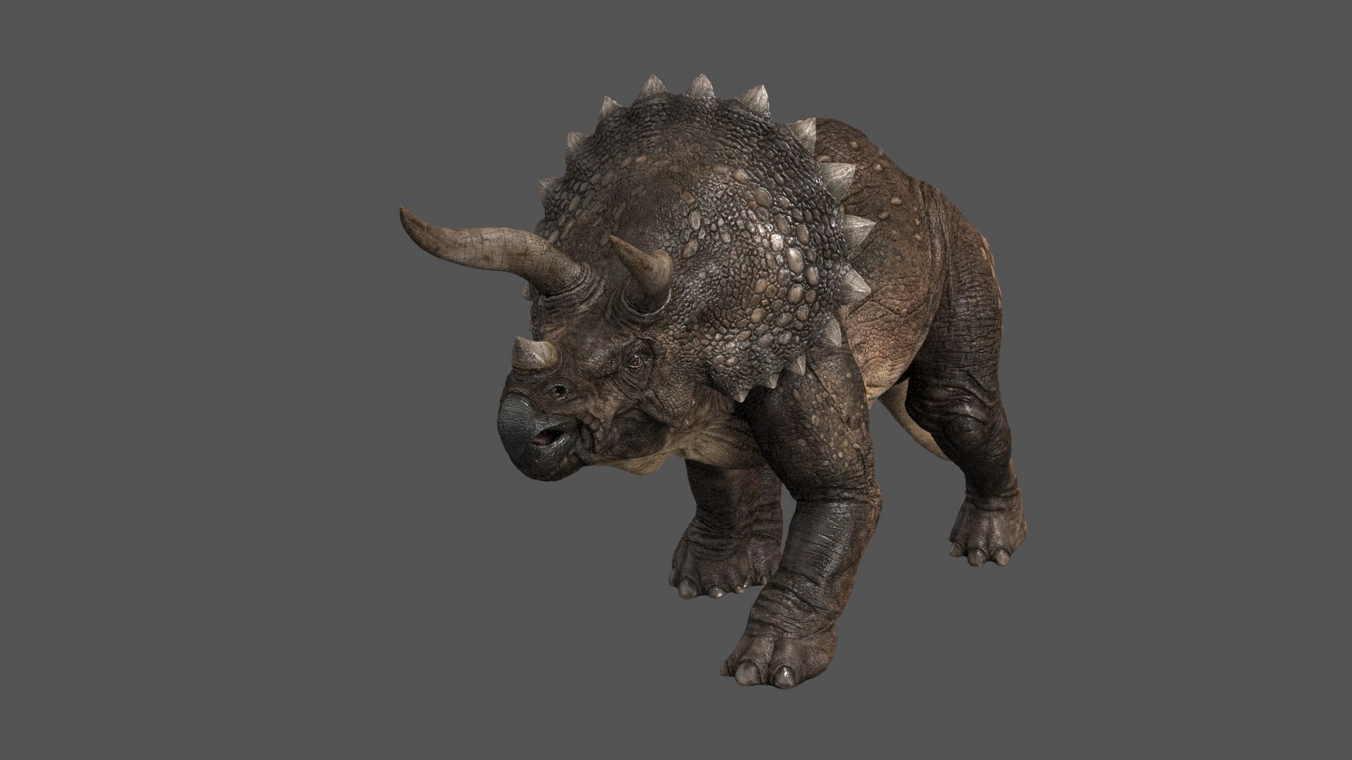 triceratops animations 3D model https://p.turbosquid.com/ts-thumb/rm/fxvhjC/RMzMoRQG/triceratops_0004/jpg/1524215447/1920x1080/fit_q87/d6400897a042e5c787ea0380a8a050970b2df24d/triceratops_0004.jpg