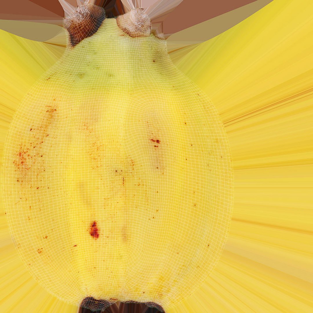 3D Baby Banana Collection https://p.turbosquid.com/ts-thumb/rm/ke4CUL/Ks/babybanana02_d0004/jpg/1716649316/1920x1080/fit_q87/e1b1b8ecf9cebdcd5ba29218fc1119b706d23ec4/babybanana02_d0004.jpg