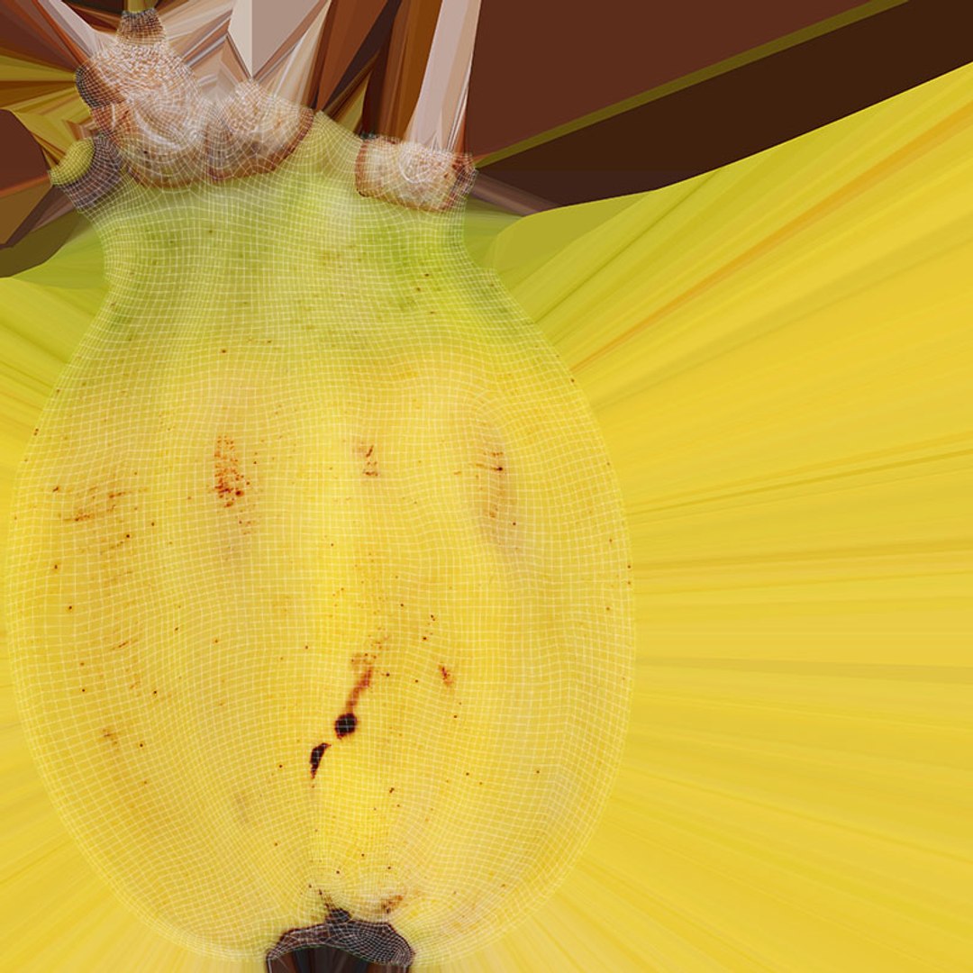3D Baby Banana Collection https://p.turbosquid.com/ts-thumb/rm/ke4CUL/TC/babybanana01_d0004/jpg/1714998823/1920x1080/fit_q87/2ace00fe2651188f183d8025b6863e3fe6ff35c6/babybanana01_d0004.jpg