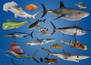 Predator Ocean Fish Collection Animated