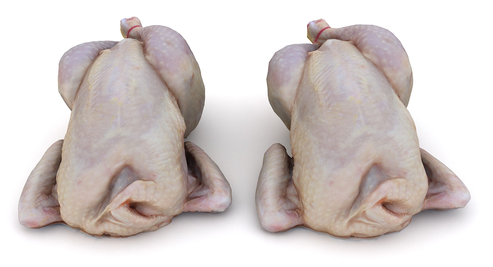 Raw Chicken 3D - TurboSquid 1263025