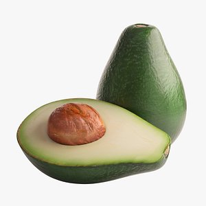 avocado photorealistic 3d model