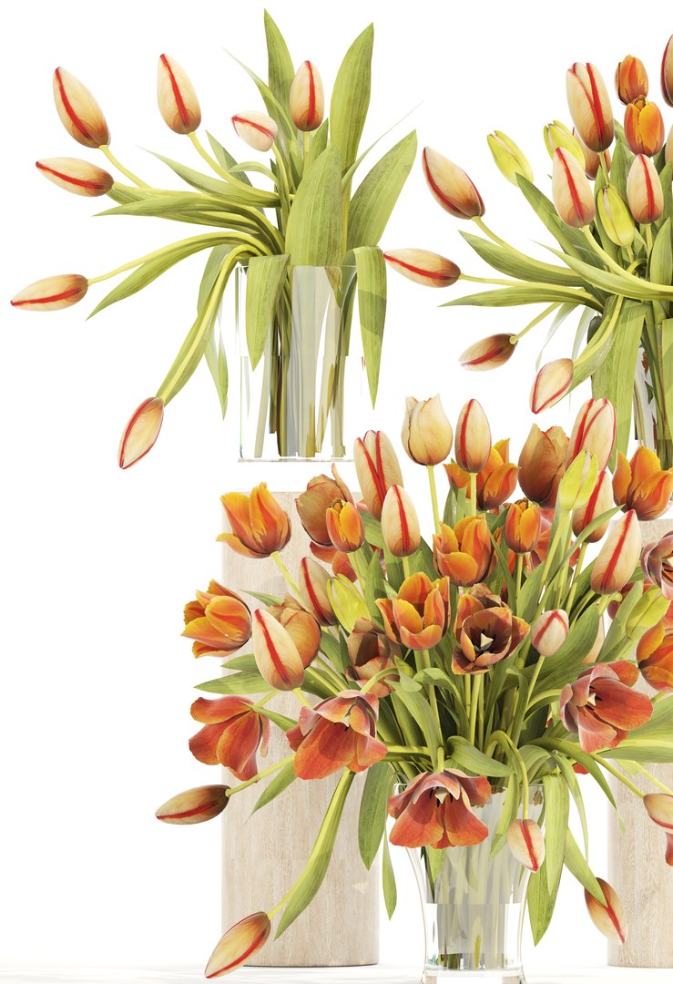 bouquet tulips set model https://p.turbosquid.com/ts-thumb/rn/Be4ySA/48H0LQX0/tulips120304/jpg/1521107933/1920x1080/fit_q87/1af437604c6570582b40f3e1b7b2ddde7048d4f5/tulips120304.jpg