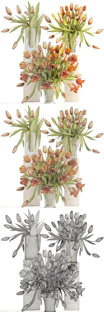 bouquet tulips set model https://p.turbosquid.com/ts-thumb/rn/Be4ySA/PfBckUOu/tulips120306/jpg/1521107933/1920x1080/fit_q87/cfcaab7f493d041d05cd8475d2ba459b7b30fabe/tulips120306.jpg
