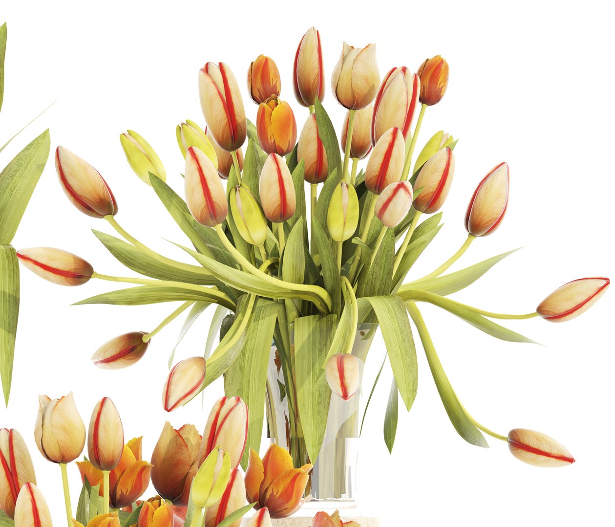 bouquet tulips set model https://p.turbosquid.com/ts-thumb/rn/Be4ySA/TOUhvWKv/tulips120302/jpg/1521107933/1920x1080/fit_q87/1eae0e6f2e8cda65919fc16c3508410742927109/tulips120302.jpg
