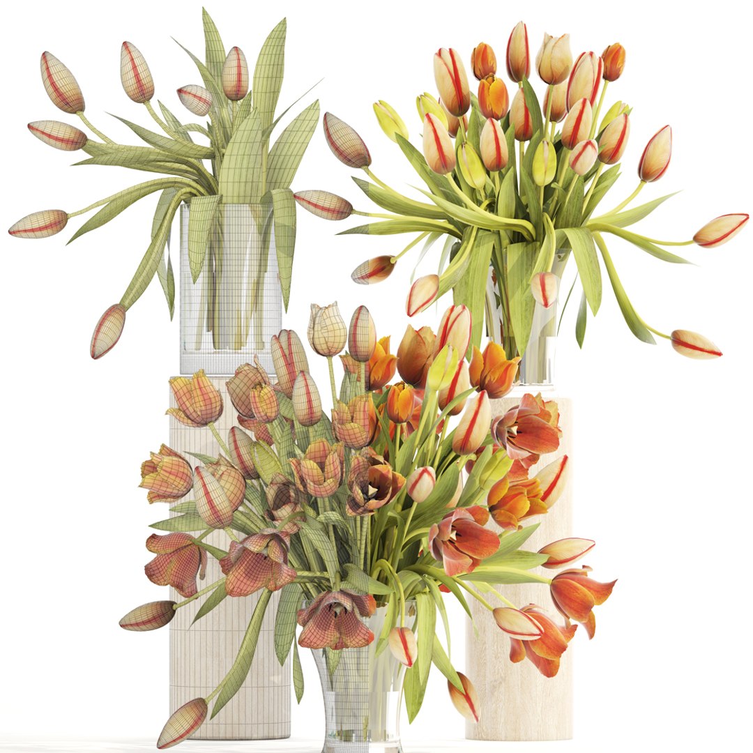 bouquet tulips set model https://p.turbosquid.com/ts-thumb/rn/Be4ySA/lNEtSHQp/tulips120307/jpg/1521107933/1920x1080/fit_q87/7465d05c3a72ea60591a571fa253e8af4c182de9/tulips120307.jpg
