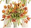 Bouquet of tulips set