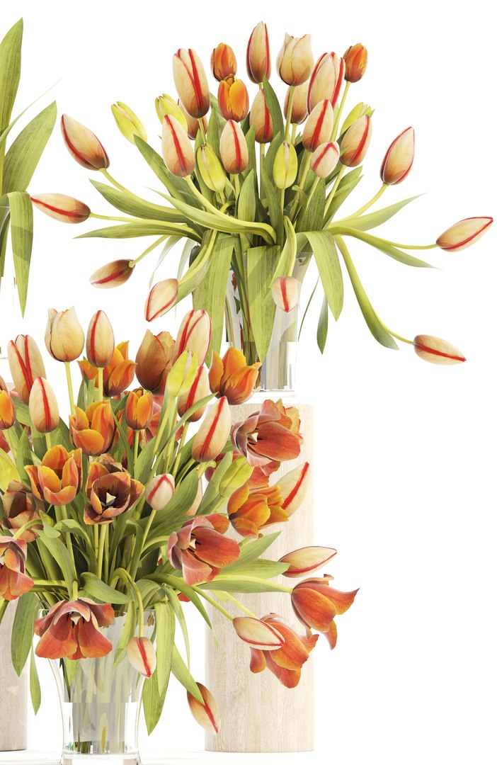 bouquet tulips set model https://p.turbosquid.com/ts-thumb/rn/Be4ySA/qYsrPK9Y/tulips120305/jpg/1521107933/1920x1080/fit_q87/eb167d1dddfef06a148f2d30a02131f5b015d41d/tulips120305.jpg