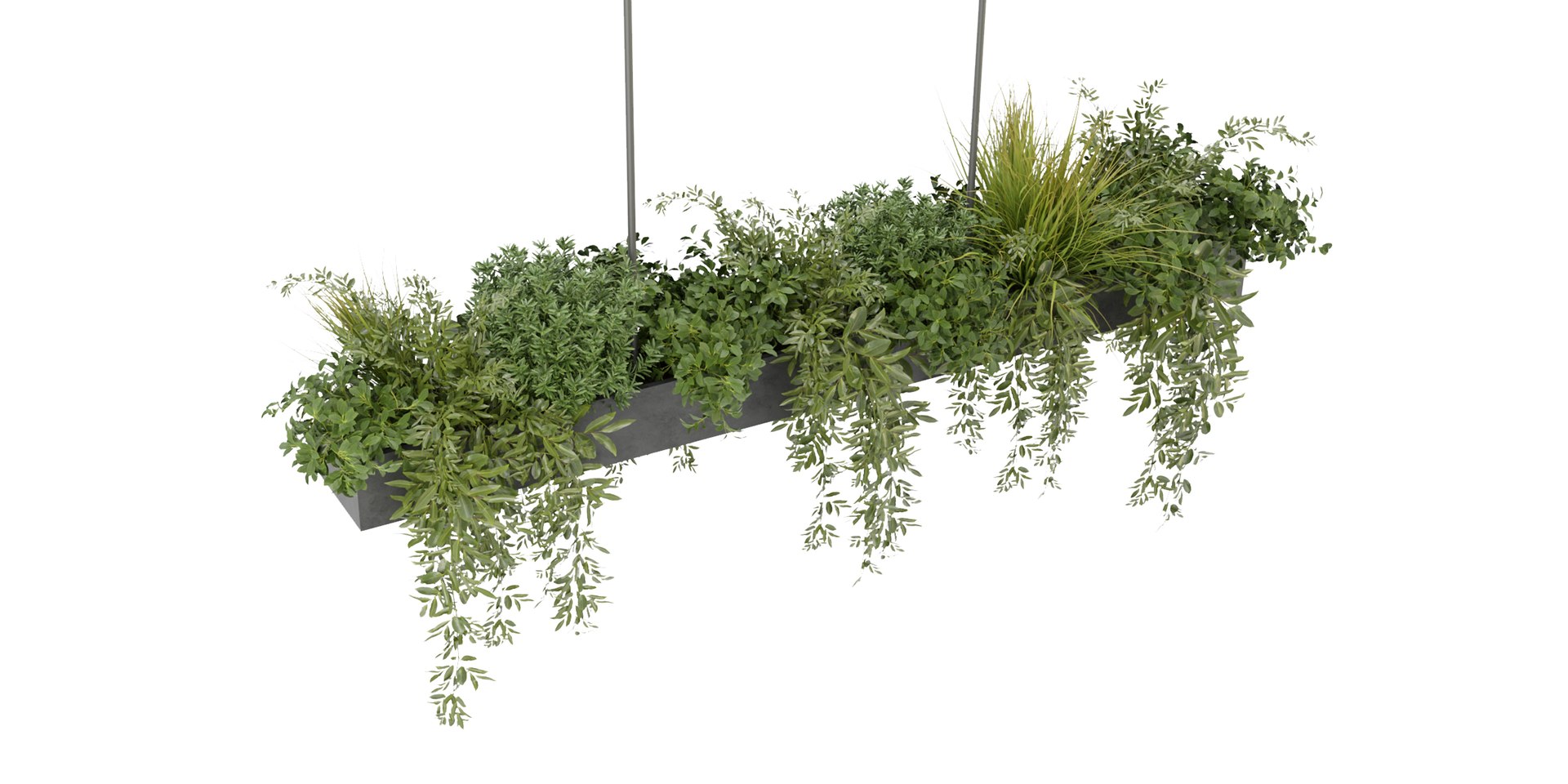 Collection plant vol 354 - blender model 3D model https://p.turbosquid.com/ts-thumb/rn/EPWkox/Fk/4/jpg/1688913661/1920x1080/fit_q87/d004d67dc495727f95a39db2742bee37ed4cc605/4.jpg