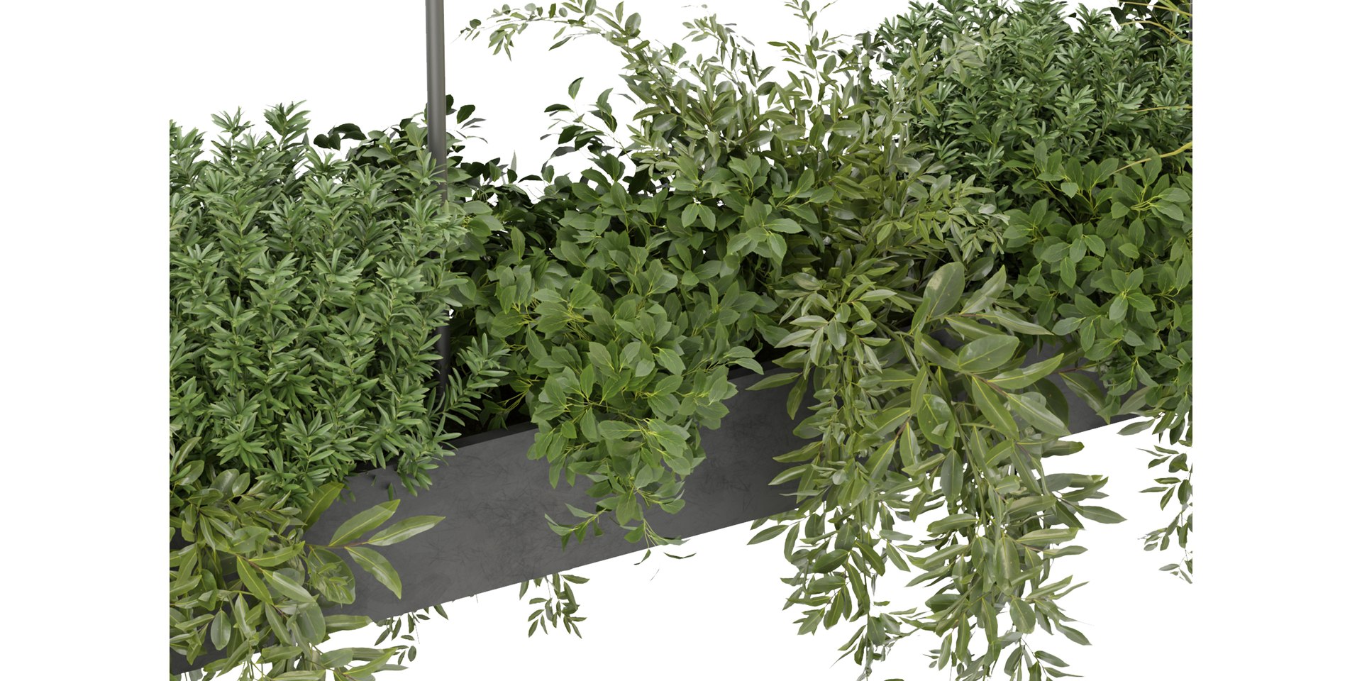 Collection plant vol 354 - blender model 3D model https://p.turbosquid.com/ts-thumb/rn/EPWkox/wU/5/jpg/1688913658/1920x1080/fit_q87/a9395916024e285da7b2eb886bd6ad273b568f33/5.jpg