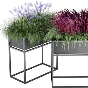3D Collection Plant Vol 10 - grass -outdoor