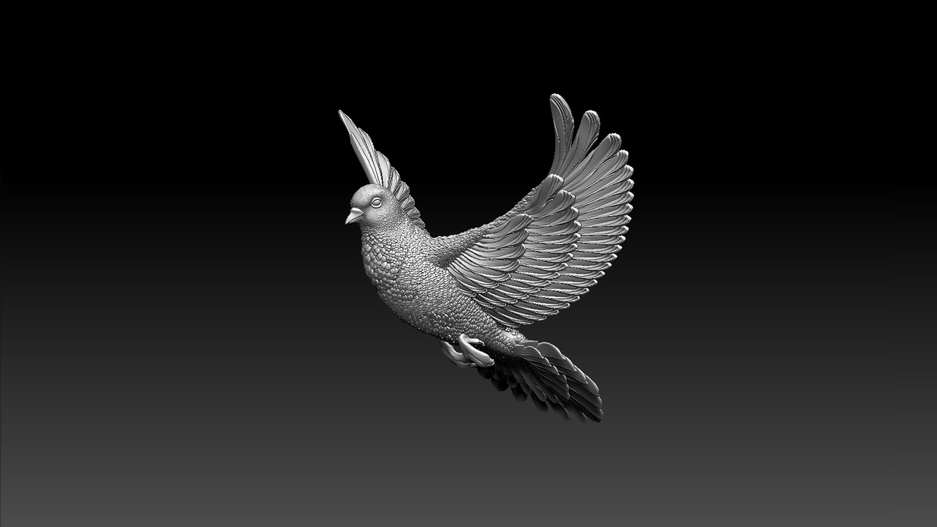 3D dove model - TurboSquid 1901411
