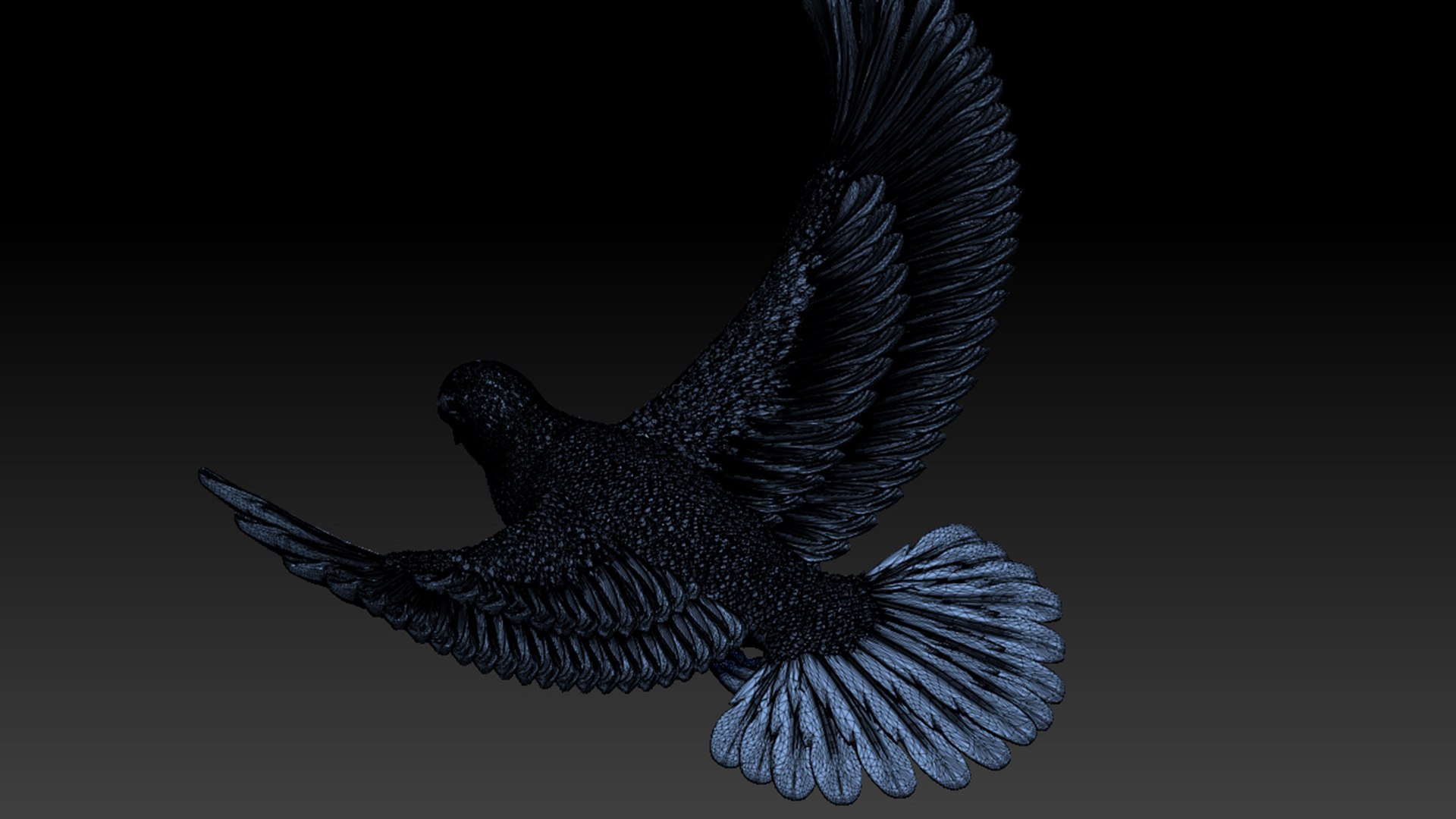 3D dove model - TurboSquid 1901411