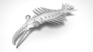 Anomalocaris untextured