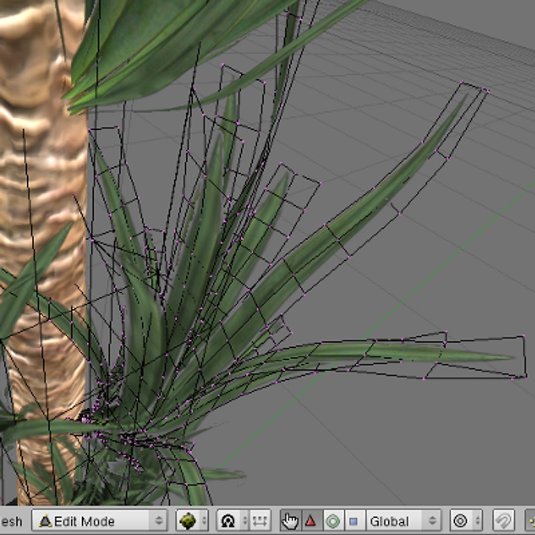 yucca 3d model