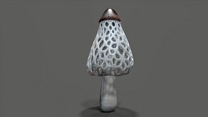 Veiled Lady Mushroom