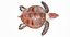 loggerhead sea turtle model