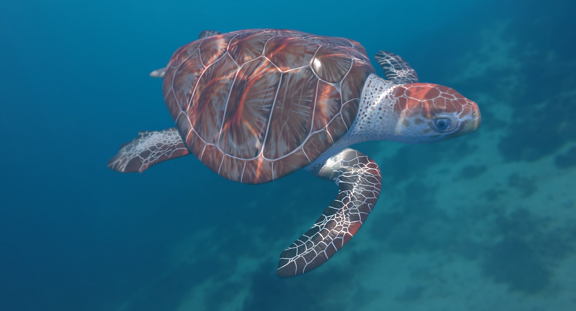 loggerhead sea turtle model https://p.turbosquid.com/ts-thumb/rn/gQQqKD/Ys3Ex87O/loggerhead_r1c/png/1551837867/1920x1080/fit_q87/fdfe532091c961eab3300acc735d8fd965b1cbb3/loggerhead_r1c.jpg