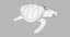 loggerhead sea turtle model