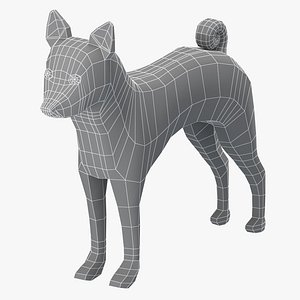 Basenji Dog Base Mesh