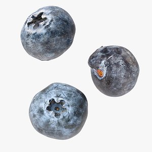 Blueberry model