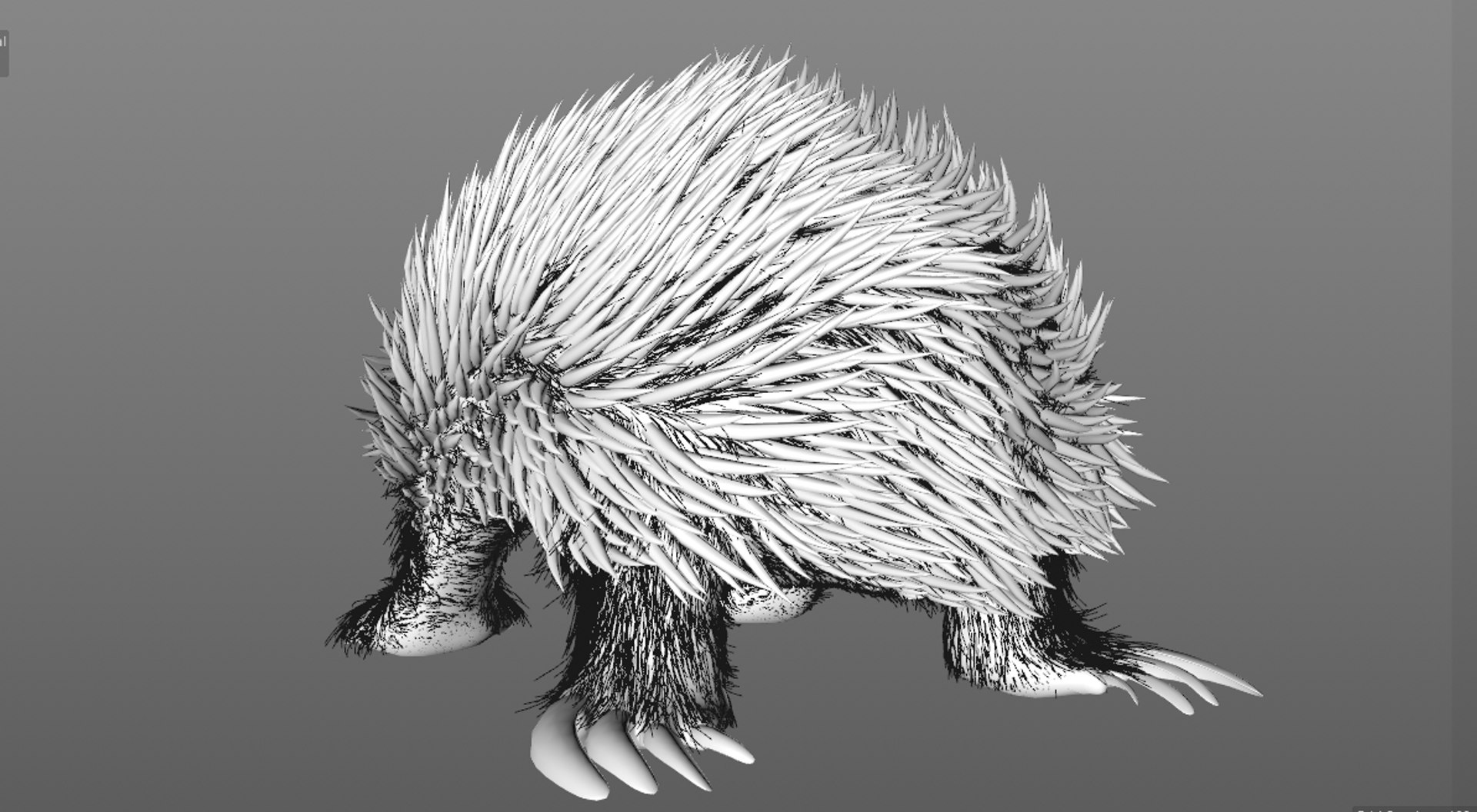 3D tachyglossus aculeatus echidna animate https://p.turbosquid.com/ts-thumb/ro/3yTkdF/2ExyioBN/grooming3/png/1563635109/1920x1080/fit_q87/4366a0c3c12b3db85a7051ac679bdea2eb8984b6/grooming3.jpg